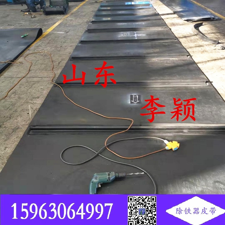 b1600除鐵器皮帶卸鐵器 b1000 正是河豚欲上時?